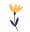 Icône